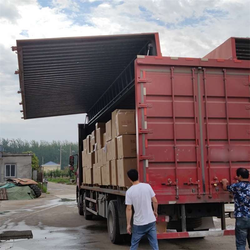 点军区扎囊县：物流专线的高效货运之旅